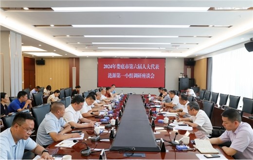 肖安江主席參加婁底市人大代表小組調(diào)研活動(dòng)